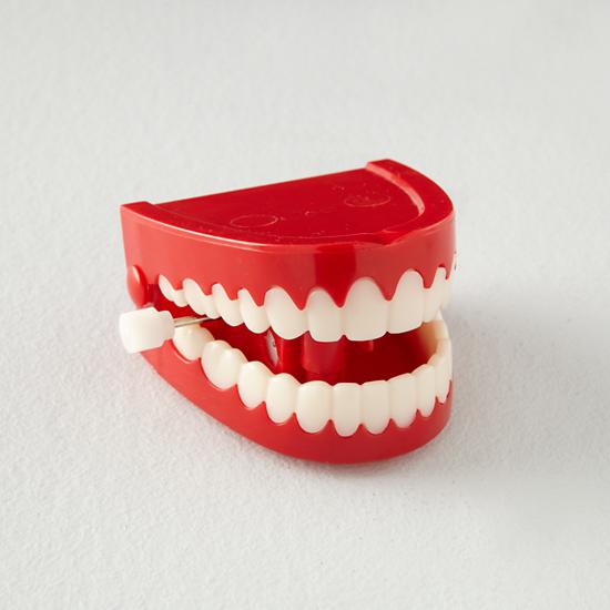 Skygate Dental Wind Up Toy