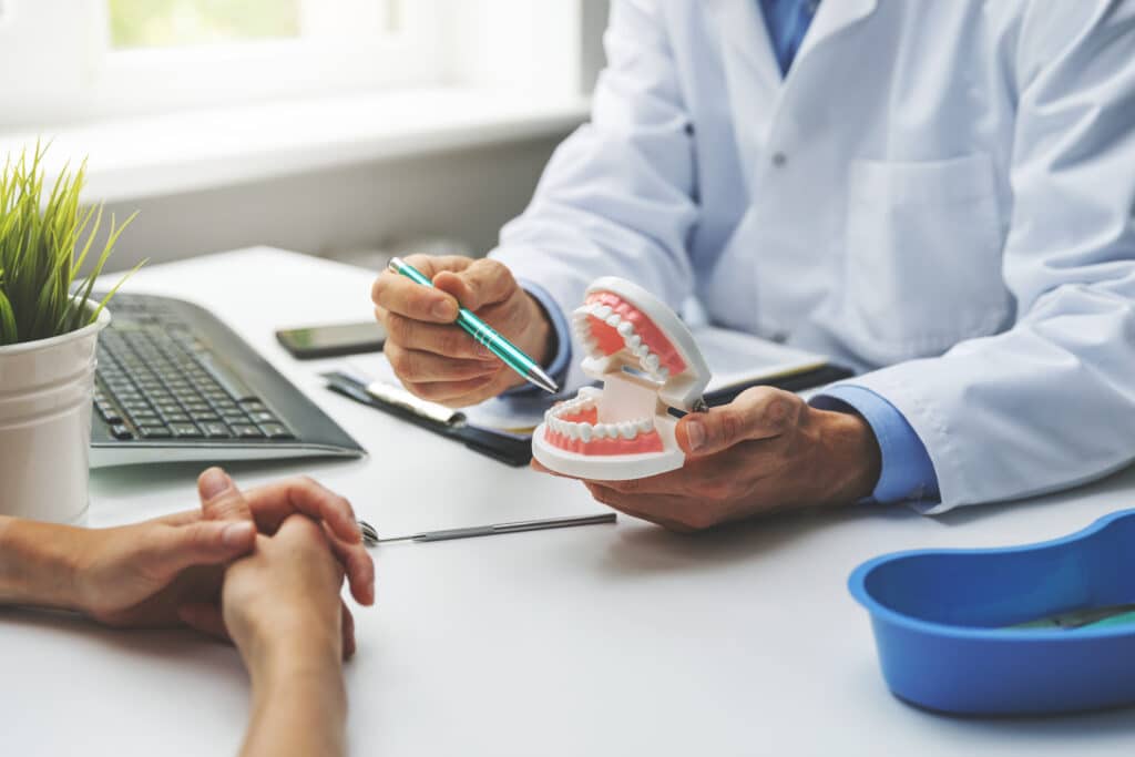 Dentist explaining dental model to patient