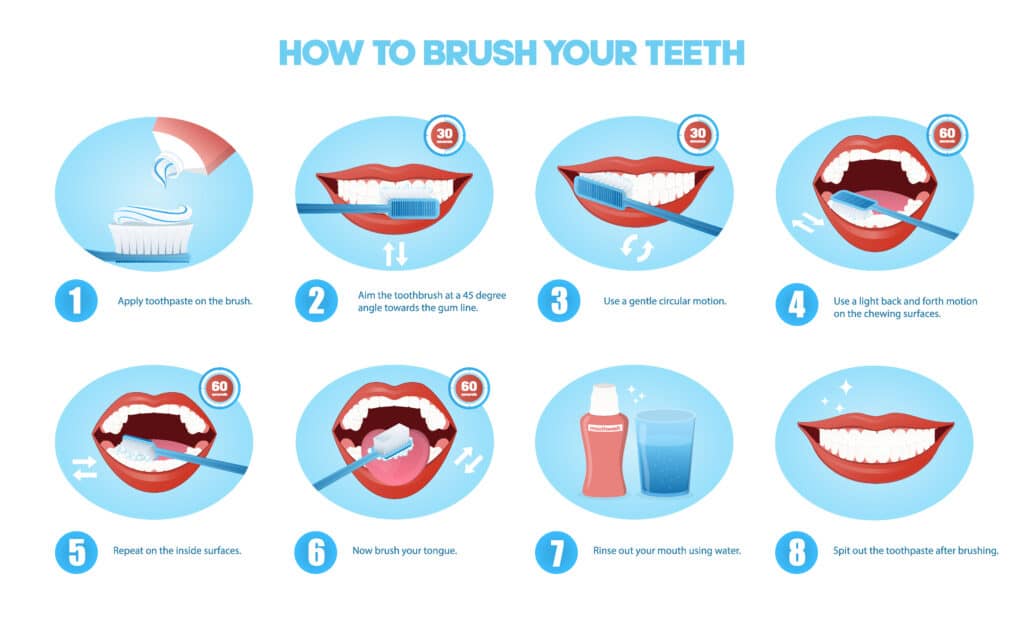 Infographic showing steps for brushing teeth