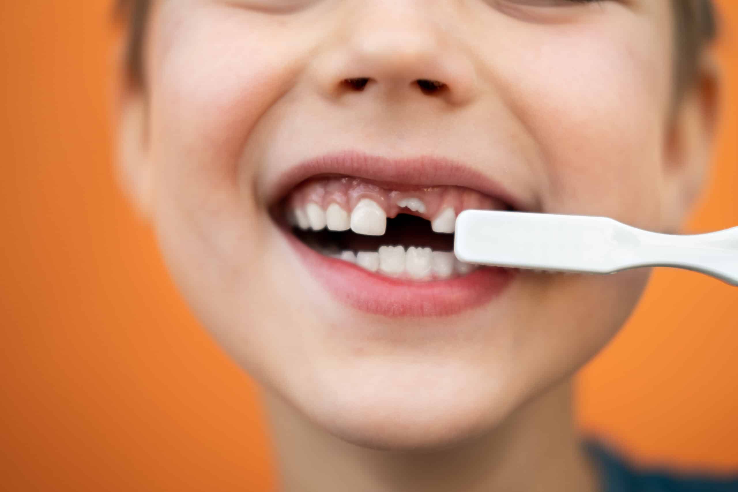 A child brushing their new adult tooth