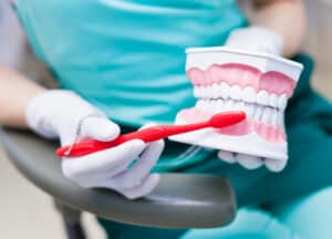 Dental hygienist demonstrating tooth brushing on model